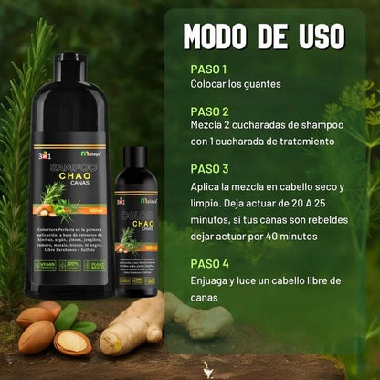 Shampoo cubre canas