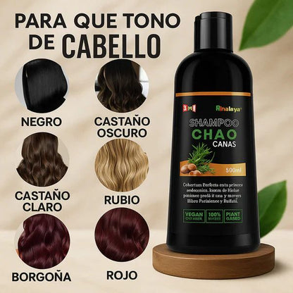 Shampoo cubre canas